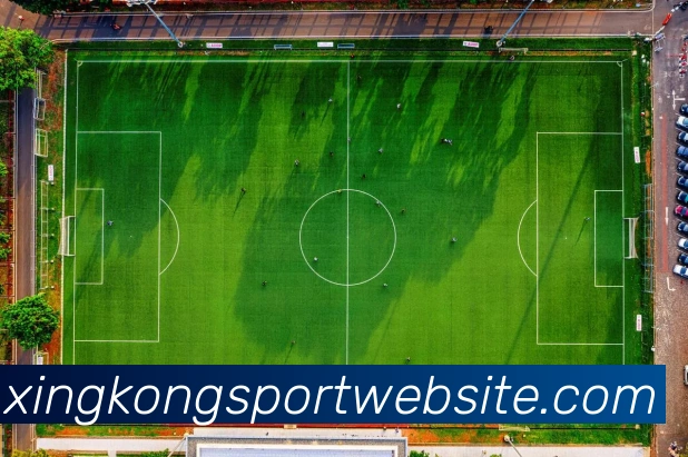 星空体育平台生态图