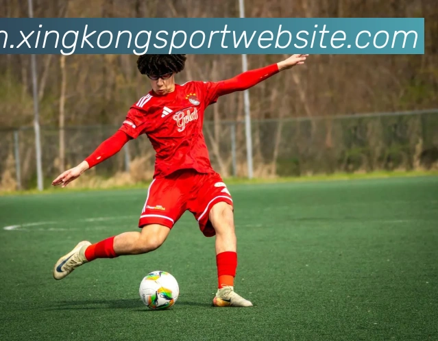 星空体育全站App