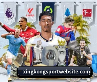 国际化进程 - xingkong
